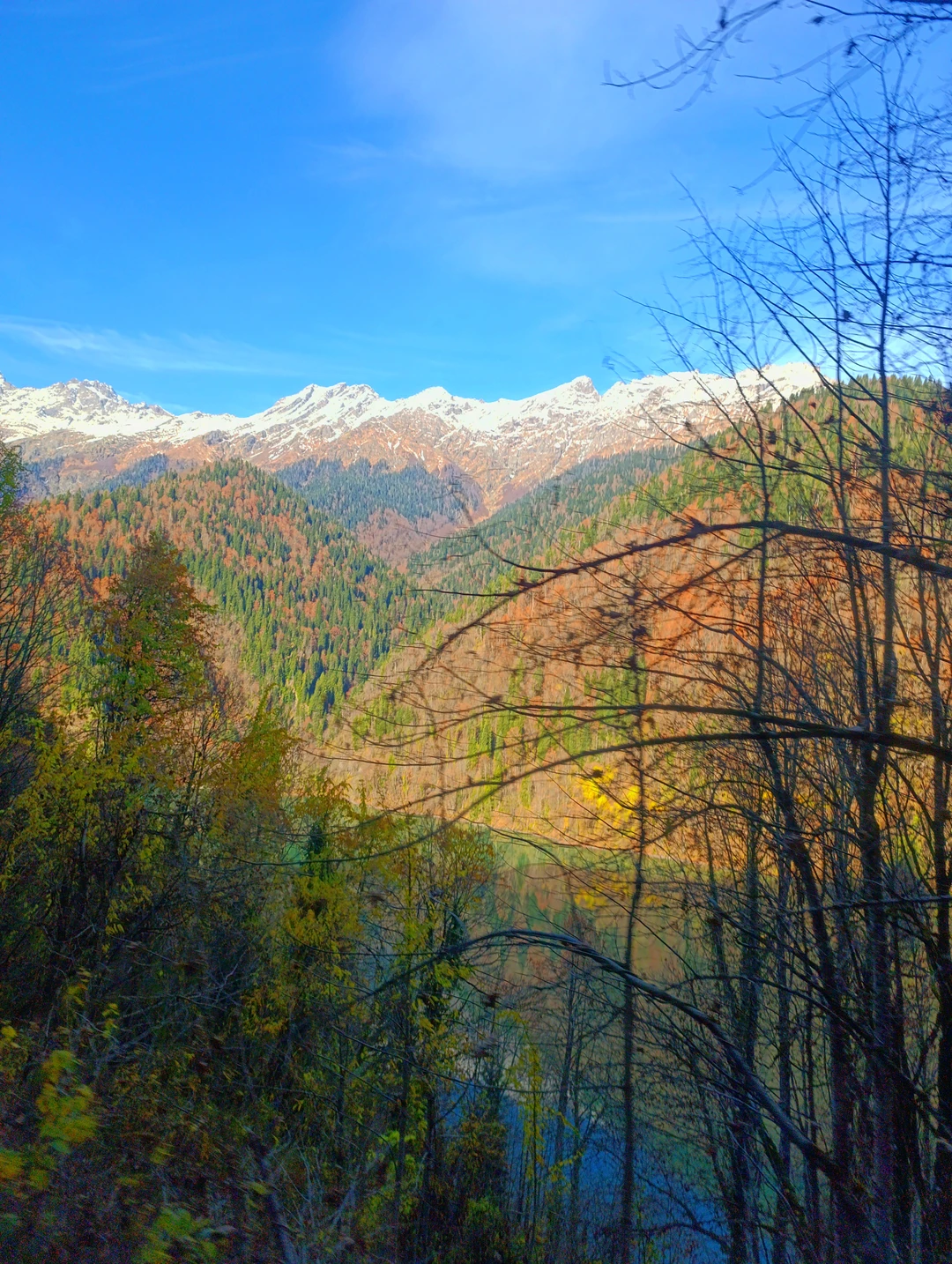 Доброго времени суток!