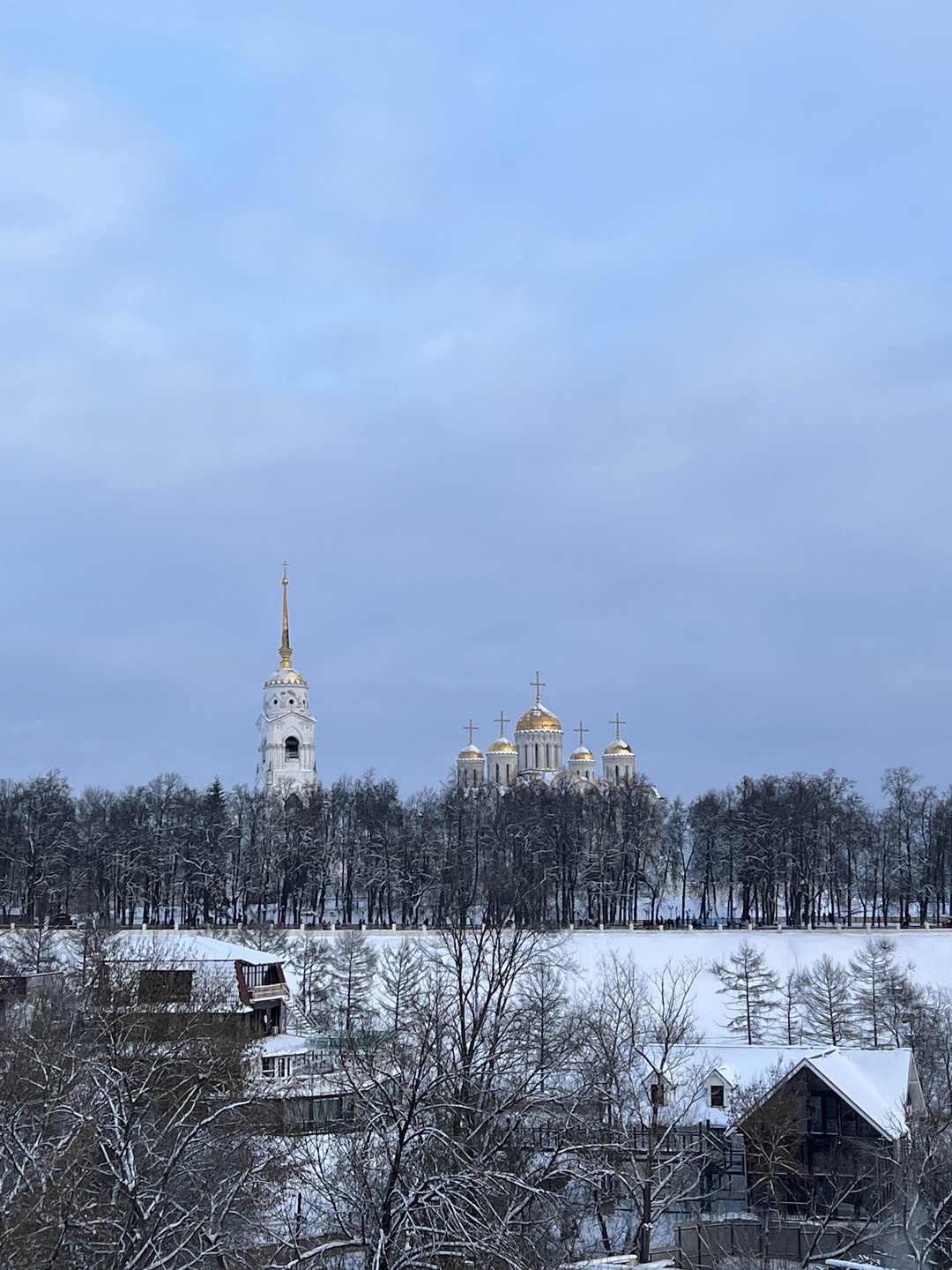 Познакомиться с Владимиром и фресками Рублёва в Успенском соборе на групповой экскурсии (Анна)