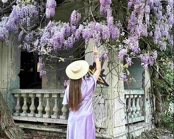 Новый Афон и Пицунда: культурное наследие и природа