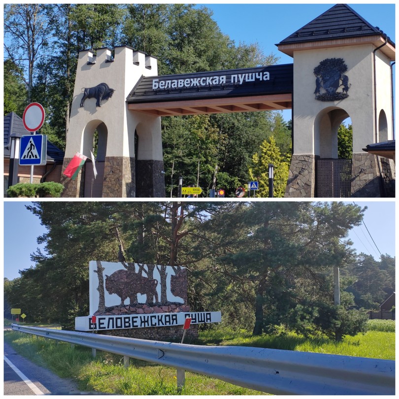 Огромное спасибо, особенно за аистов)) все было супер!