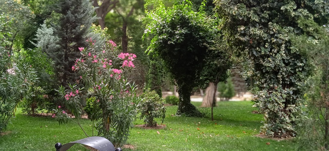 Легендарные парки Баку (Ольга)