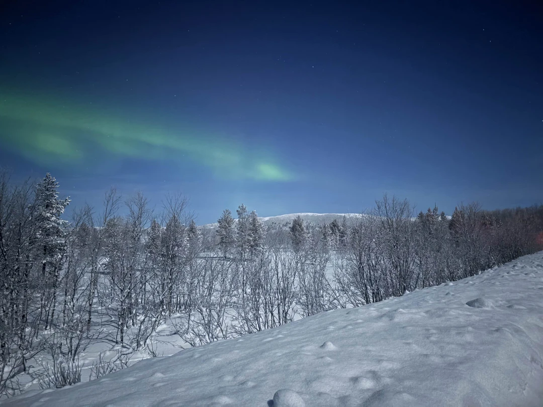 Очень понравилась новогодняя охота на сияние! Гиды точно знали куда ехать, на второй же остановке вышли