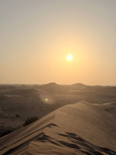 очень понравилось!