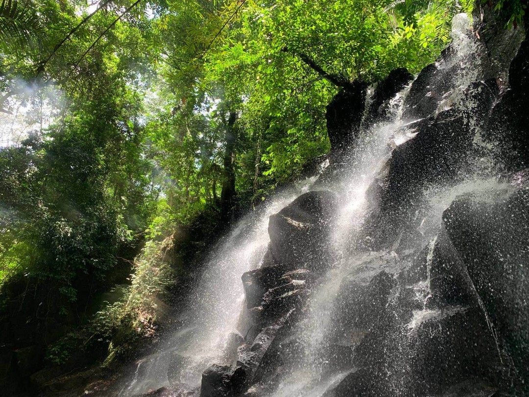 Бали: водопады в джунглях и древний храм (Наталья)