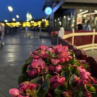 Фото отзыва 3: экскурсия "Сияние вечерней Казани"