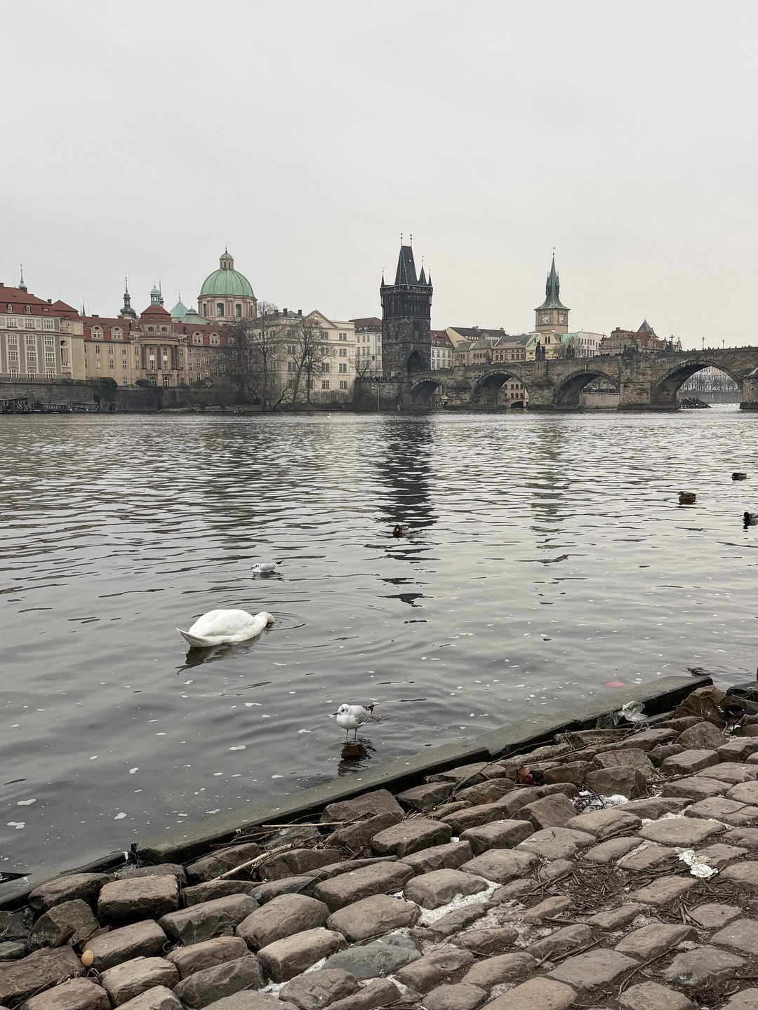 Отличная экскурсия, многое успели посмотреть. Нашим гидом был Андрей, приятно удивило, насколько много он знает об