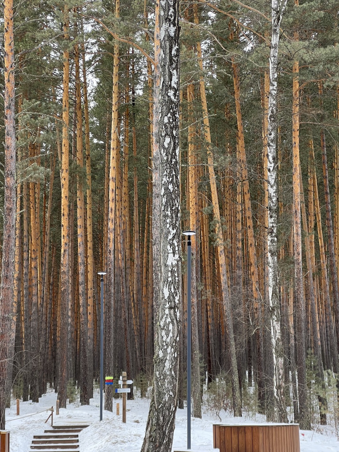 Здравствуйте! Сегодня побывали на экскурсии В Серебряный лог — к древней иконе на скале. Нашими гидами