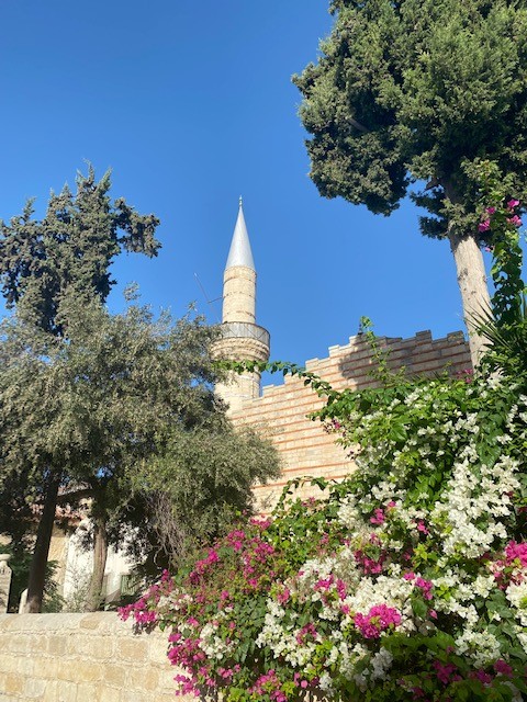 С удовольствием погуляли по центру Лимасоля с гидом ОЛьгой.