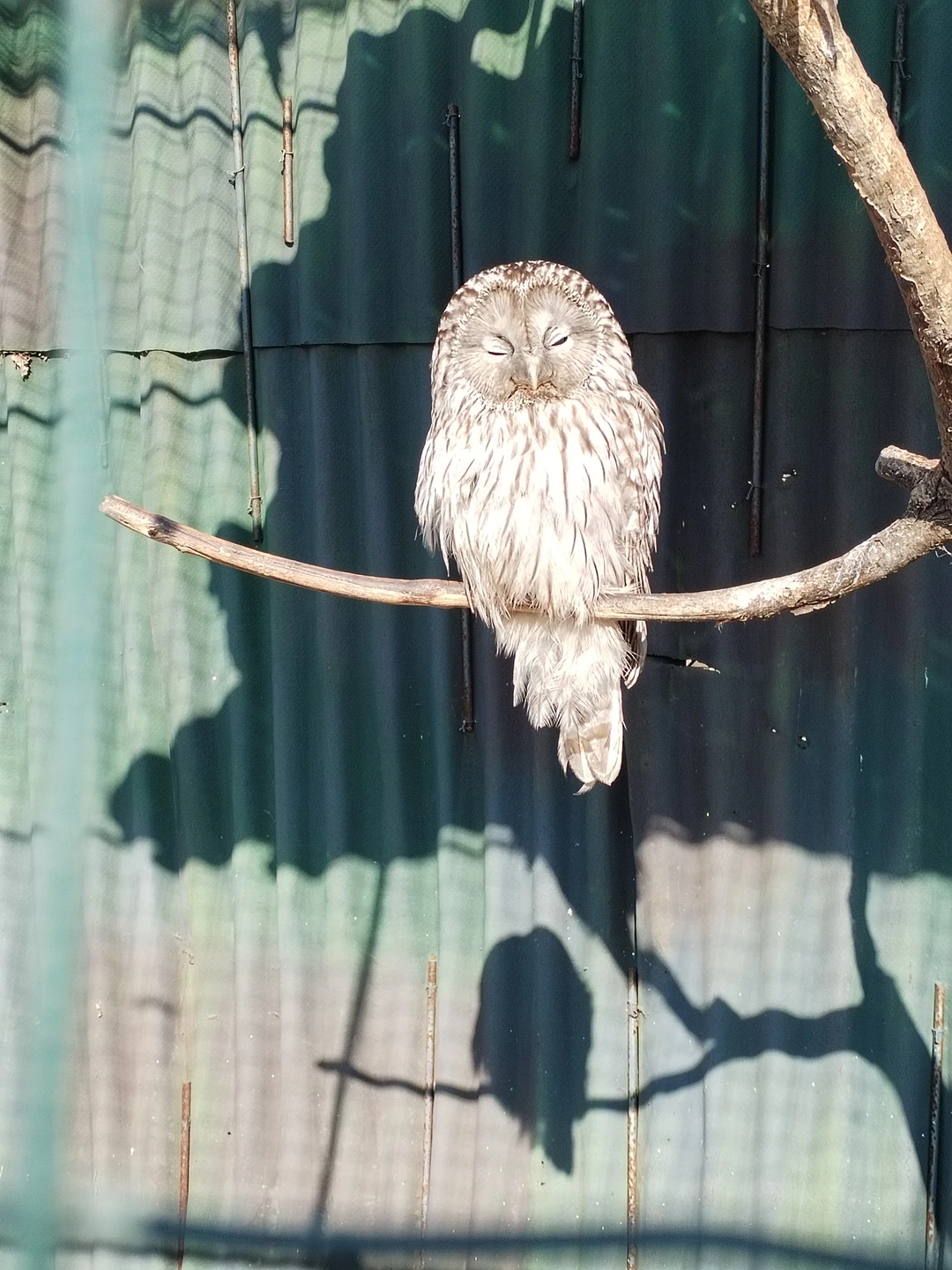 Все отлично! Программа интересная, вполне походит чтобы и город посмотреть и сафари парк и самые интересные места.