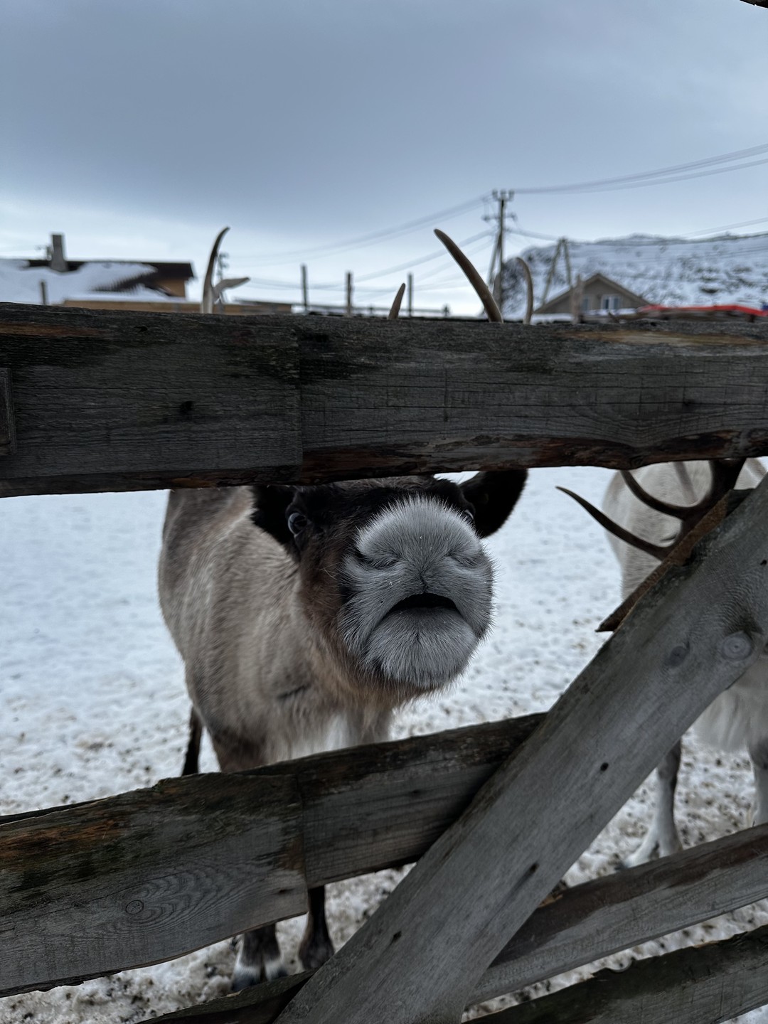 Хотим выразить огромную благодарность гиду Артему за такое шикарное путешествие, отличные рассказы и бесценные эмоции!