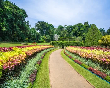 Достопримечательности Канди