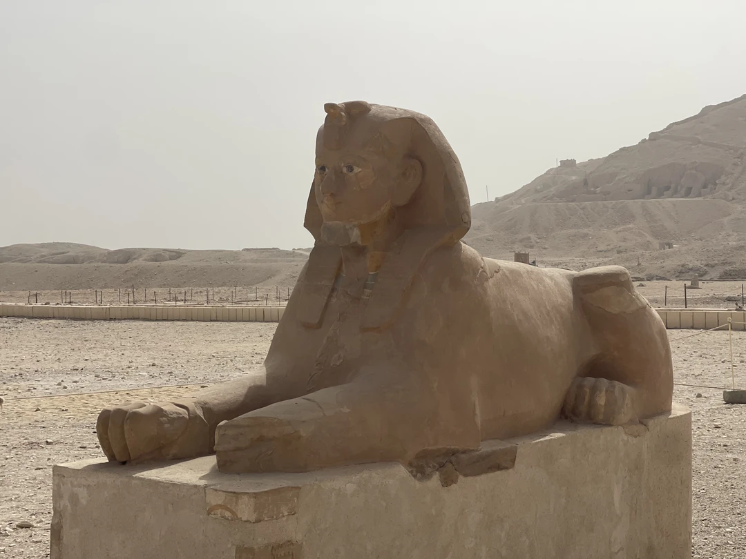 Спасибо за отлично организованную экскурсию. Подстроили индивидуально под детей. Все было прекрасно!