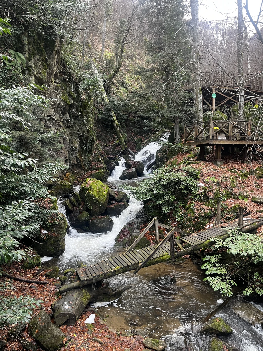 Посетили эту экскурсию с подругой и остались в полном восторге! Гид Аружан очень приятная девушка и