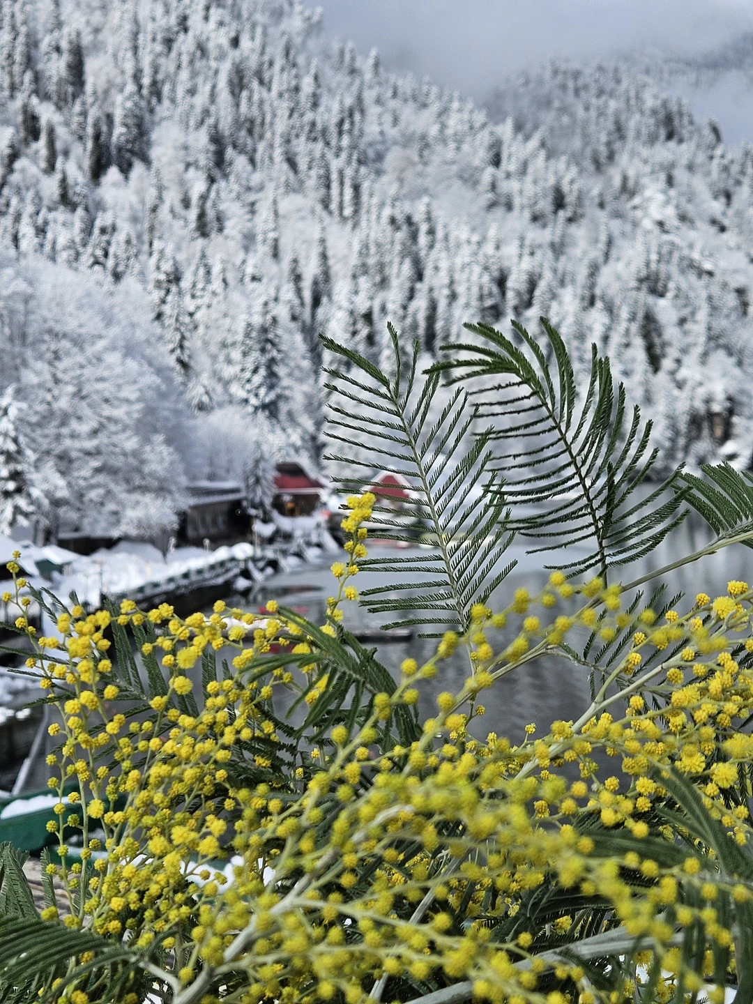 Групповая экскурсия по солнечной Абхазии (Елена)
