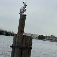 Фото отзыва 2: экскурсия "Индивидуальная экскурсия на атмосферном катере «Онегин»"