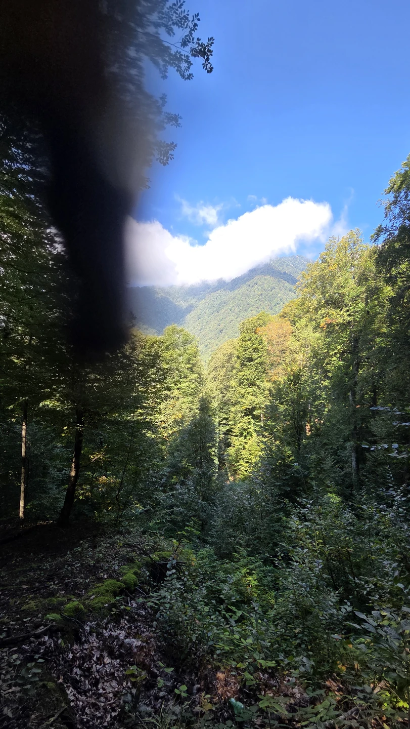 Это для меня была самая лучшая экскурсия! Проводник Илья, очень культурный и вежливый, спокойный и уравновешенный