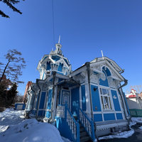 Фото отзыва 3: экскурсия "Томск: от динозавров до наших дней"