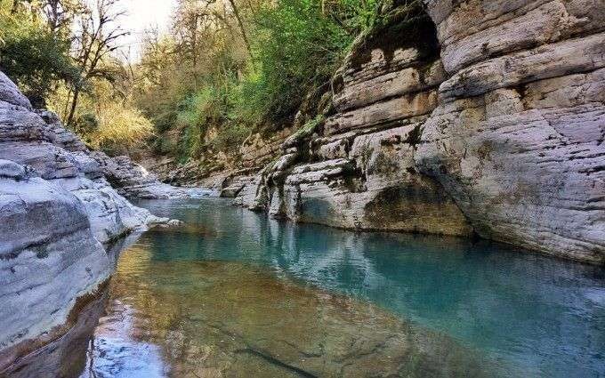 Фото отзыва 1: авторский тур "Весна в Сочи: загадки и достопримечательности"