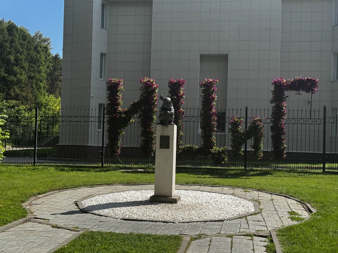 Большая прогулка по Академгородку (Евгений)