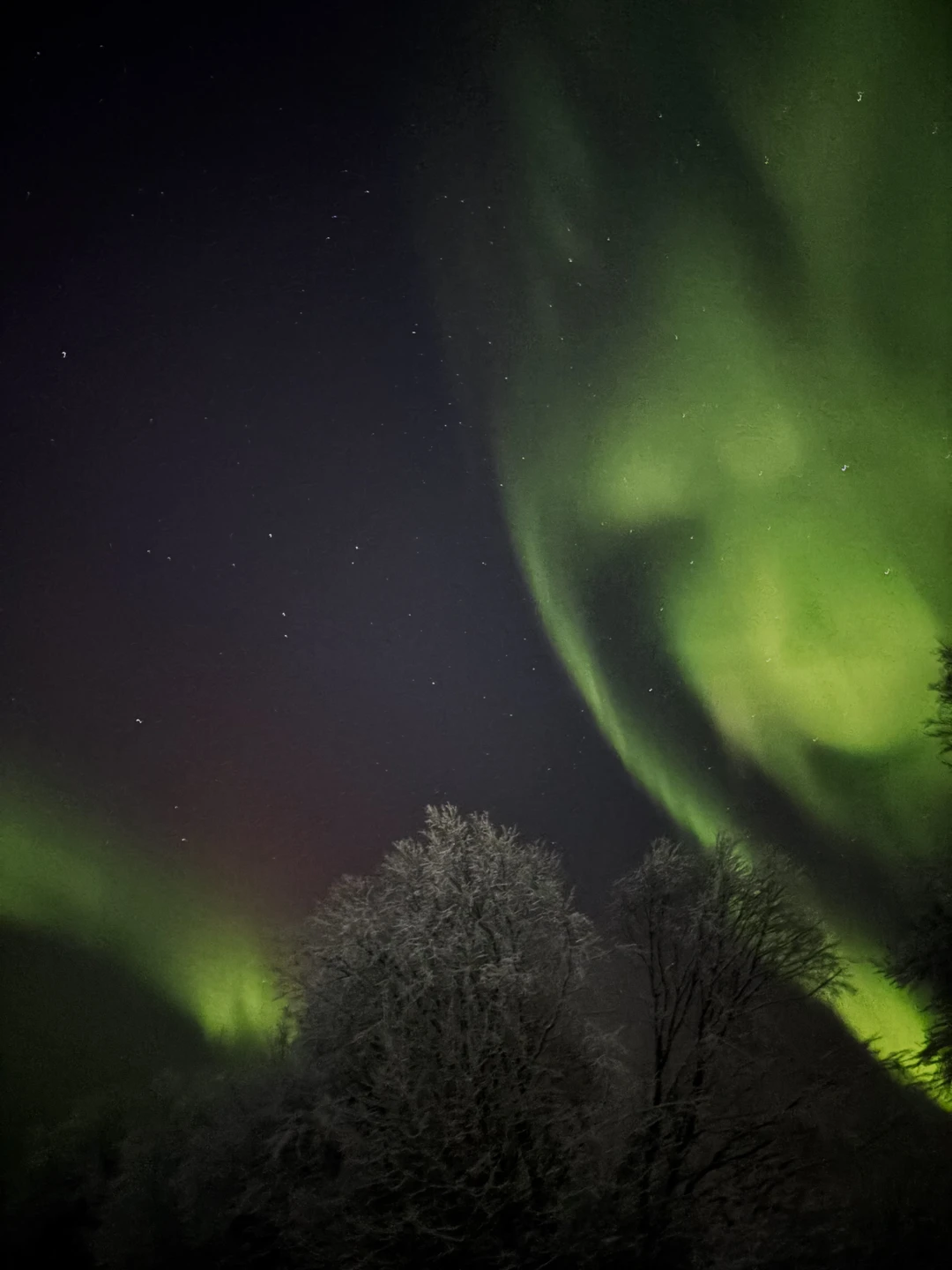 В погоню за полярным сиянием (Фисенко)