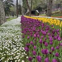 Фото отзыва 2: экскурсия "Стамбул: самое главное за 5 часов"