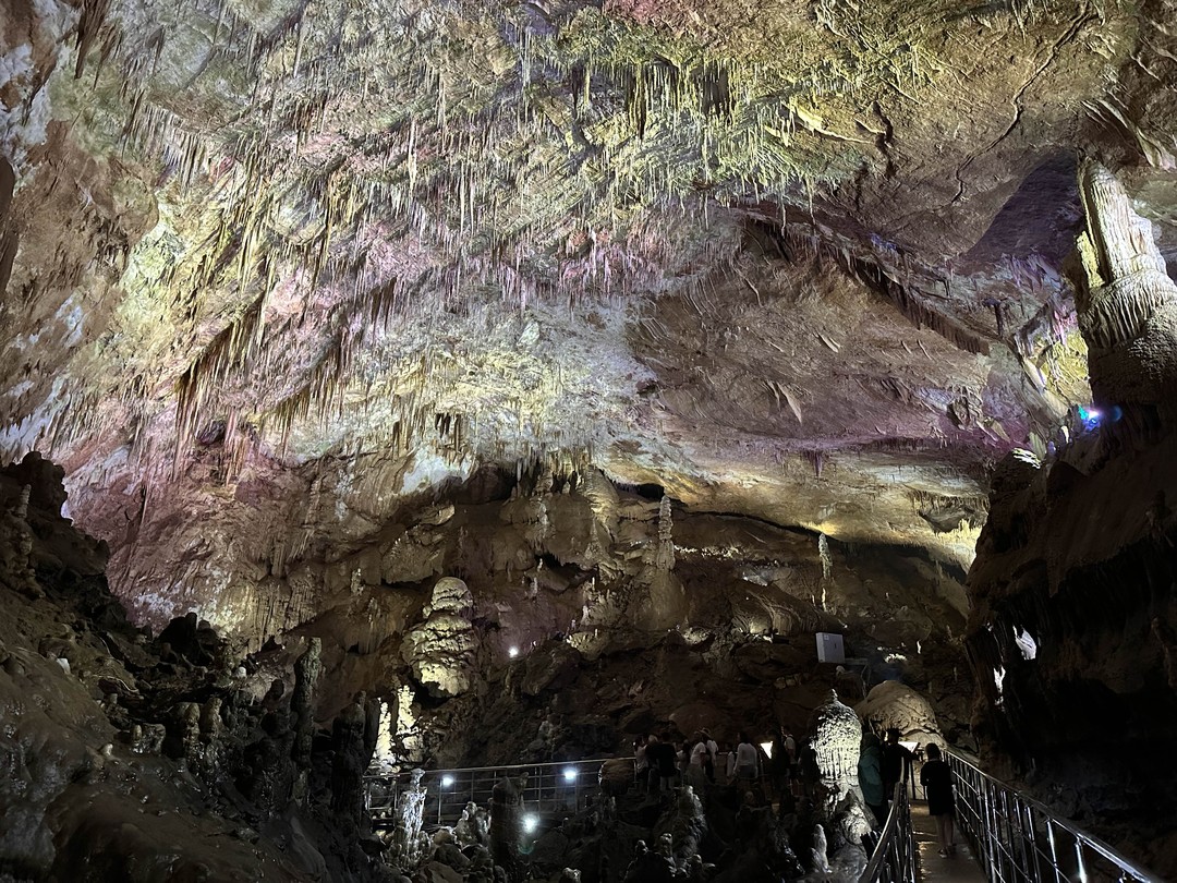 Нас впечатлило, как умело и спокойно вы помогали преодолевать организационные сложности. Спасибо, что во время поездки
