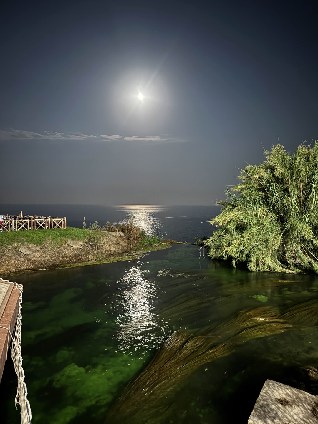 Анталья за один день на авто - all inclusive (Ольга)