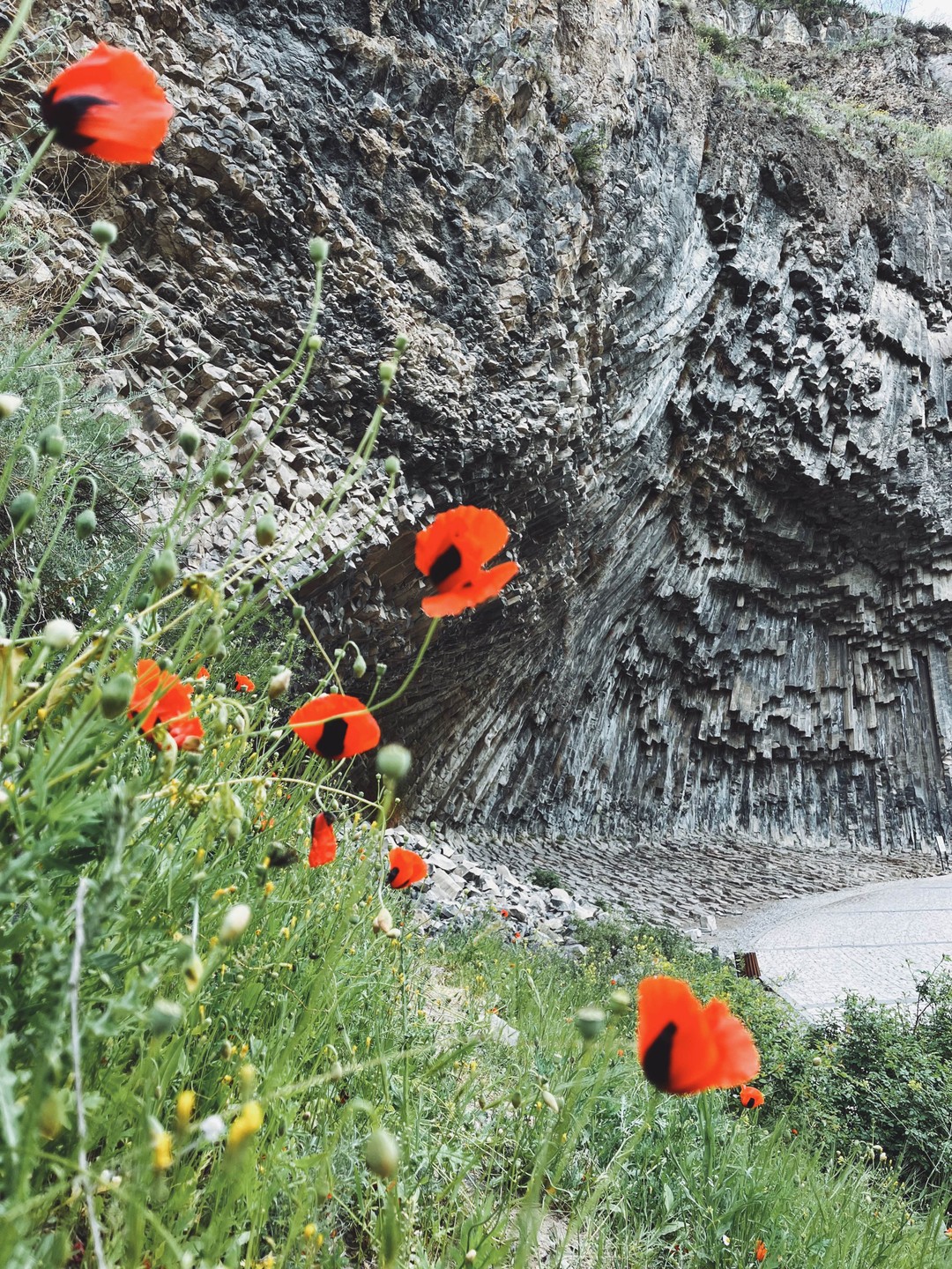 Отличная экскурсия и организация 🫶🏻 Айк и Мариам отличные ребята, приятно провели время в их компании.