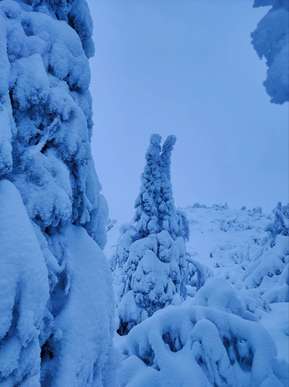 Замечательная прогулка, прекрасный гид, шикарная природа! Юлия, спасибо огромное за такой поход, хорошее настроение, за интересную