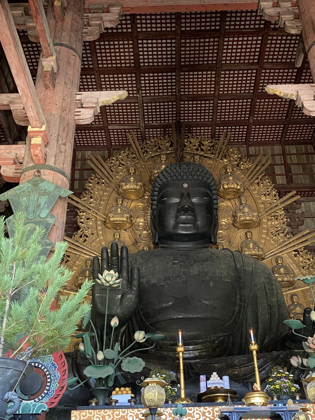 Просто классная экскурсия и Марина отличный экскурсовод! Нам всем очень было интересно, мы узнали много интересного