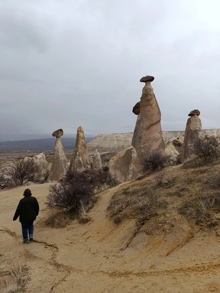Остались очень довольны экскурсией. Марина - отличный высокопрофессиональный экскурсовод, любящий эту прекрасную страну. Было очень интересно