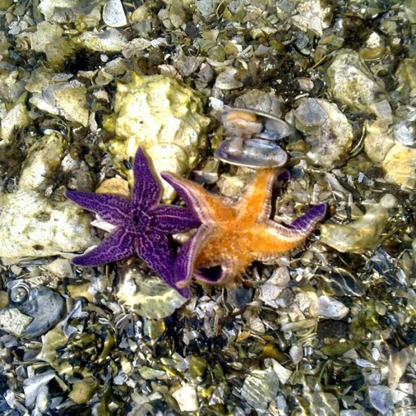 Гастрономическая групповая экскурсия в лагуну Буссе