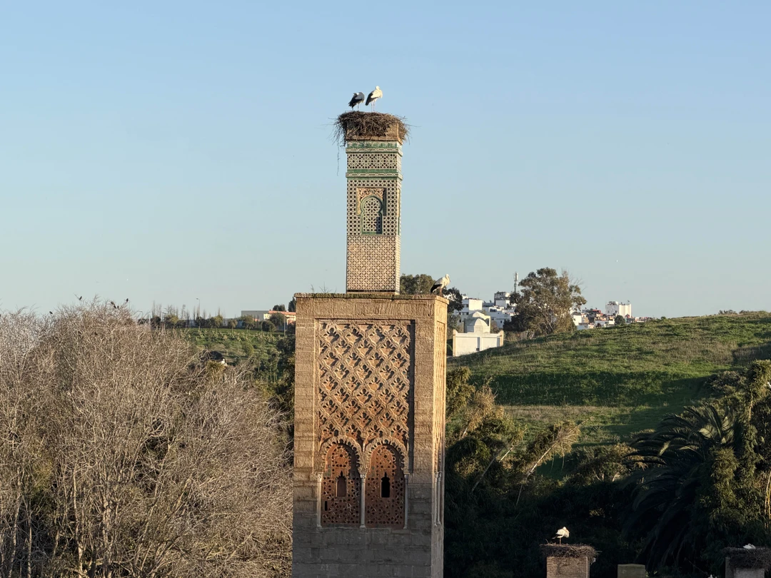 Знакомьтесь, Рабат (Наталья)