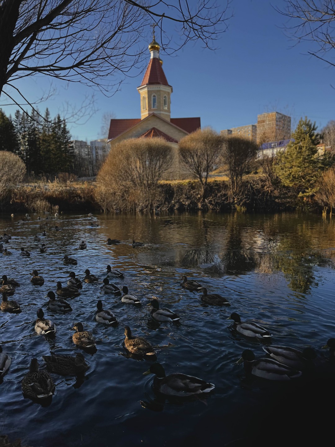Прекрасный маршрут, прекрасный гид Андрей, который любит эти края и пытается передать эту любовь всем. Если