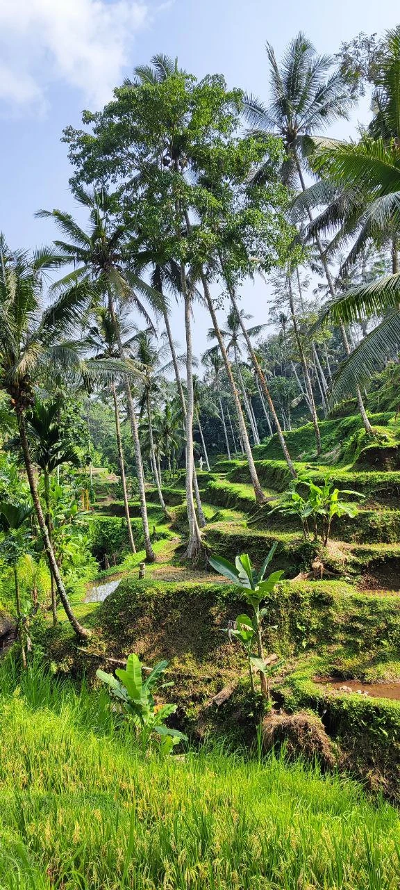 Готовились с женой к отпуску и увидели тур – 4 страны за 15 дней. Это же