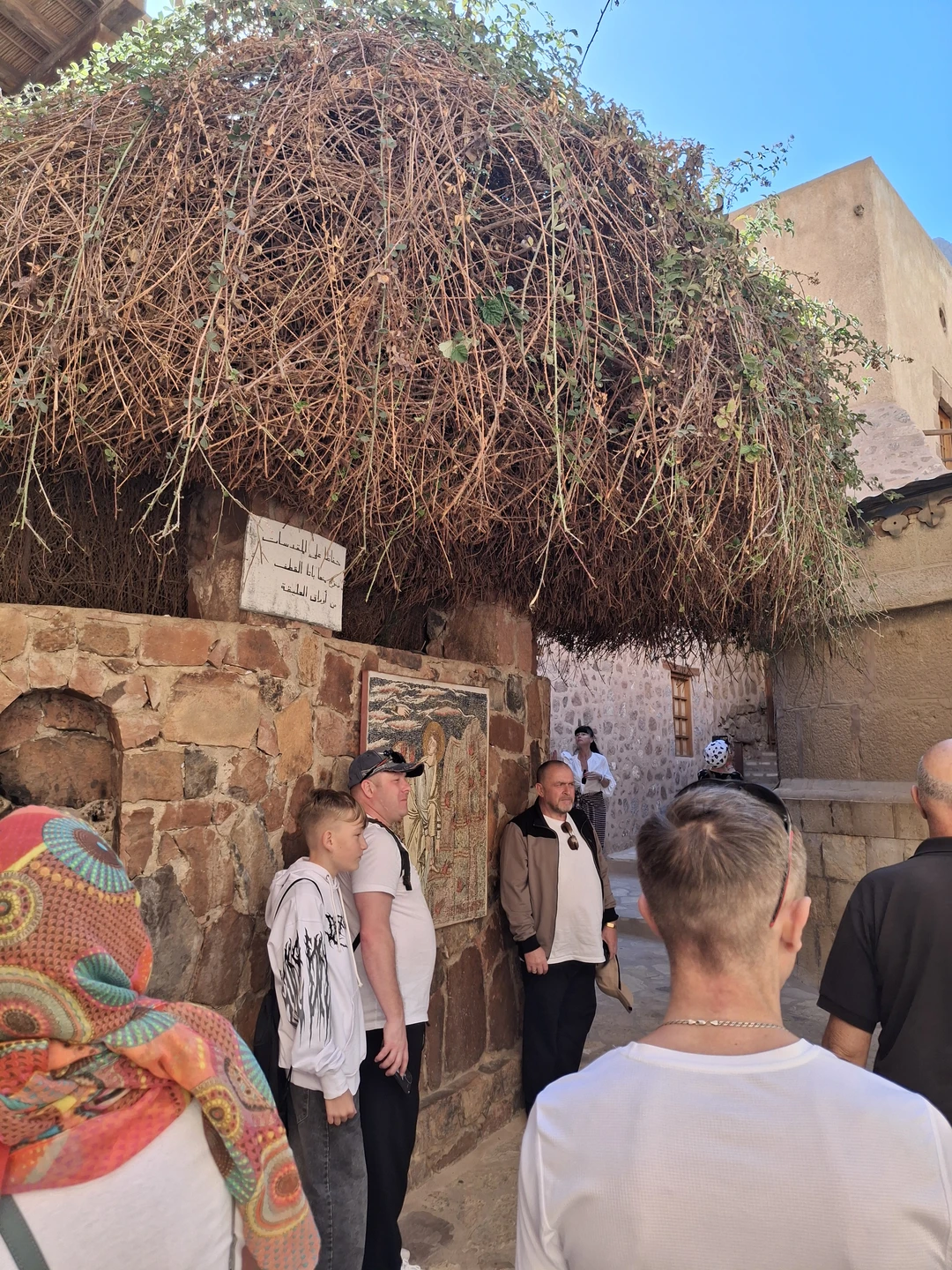 Очень понравилась экскурсия, довольно долгая дорога, ранний подъем, но все было комфортно. По пути очень красивая