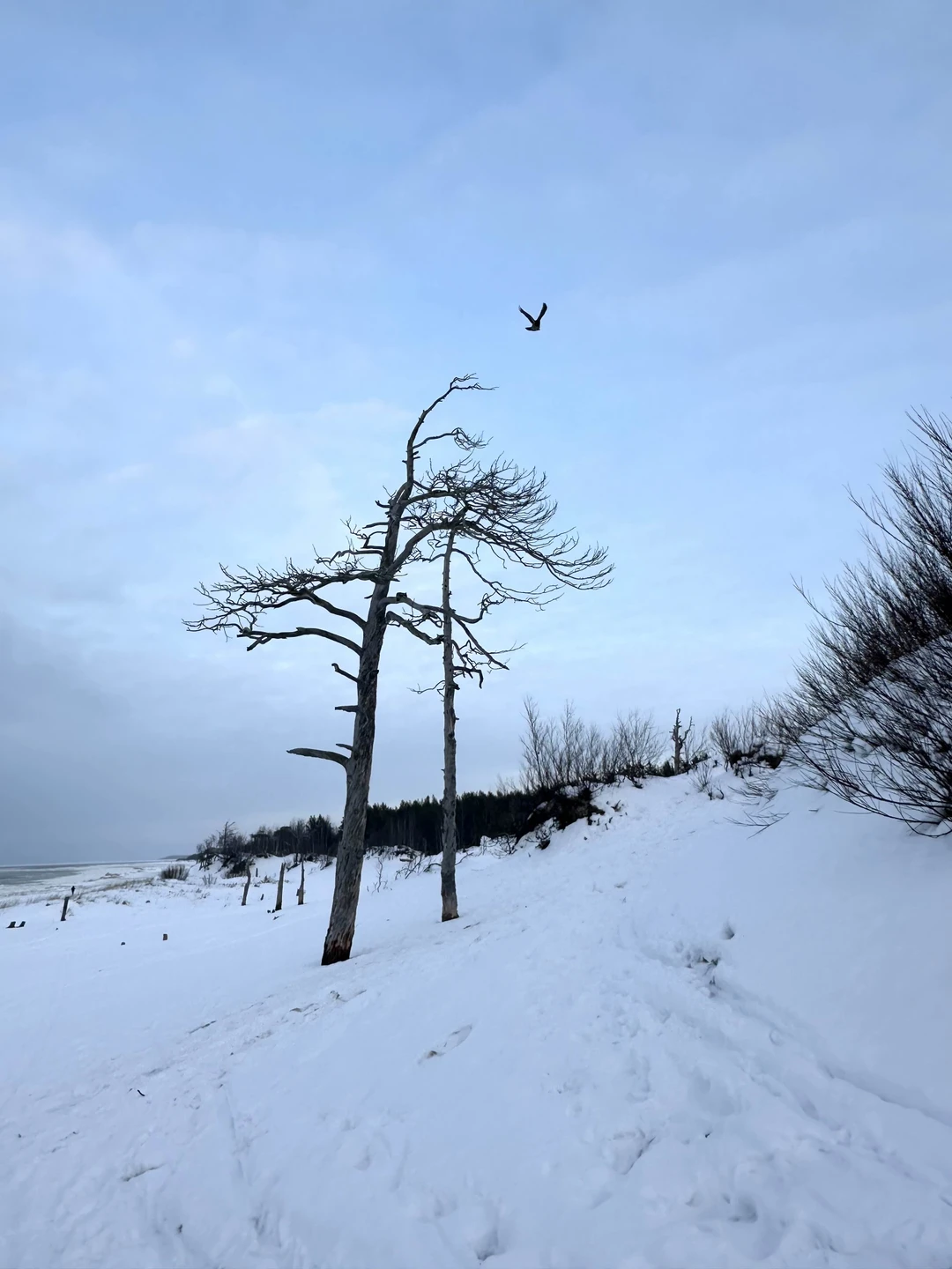Прекрасная поездка с интересной беседой