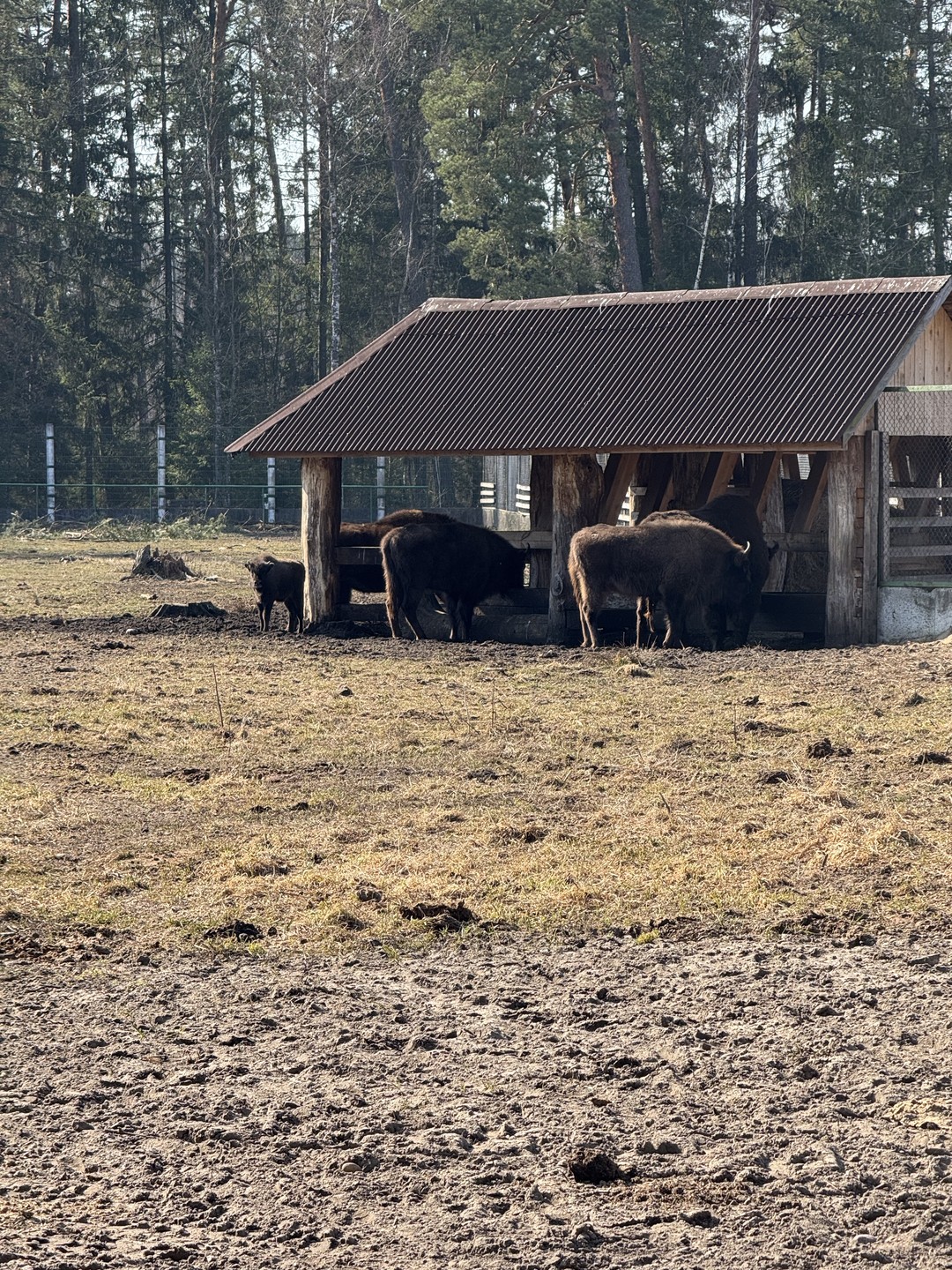 Все было просто замечательно, Жанна написала сразу же после бронирования, потом накануне поездки, предупредила, что для