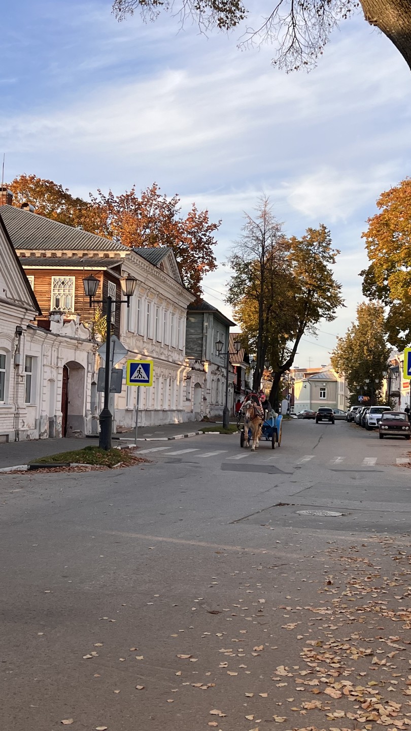 С огромным удовольствием и благодарностью пишу отзыв о нашем маленьком однодневном путешествии в Семенов и Городец