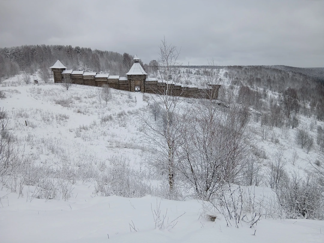 Была на экскурсии 29 ноября. Природа сделала подарок в виде снежного покрова за городом и от