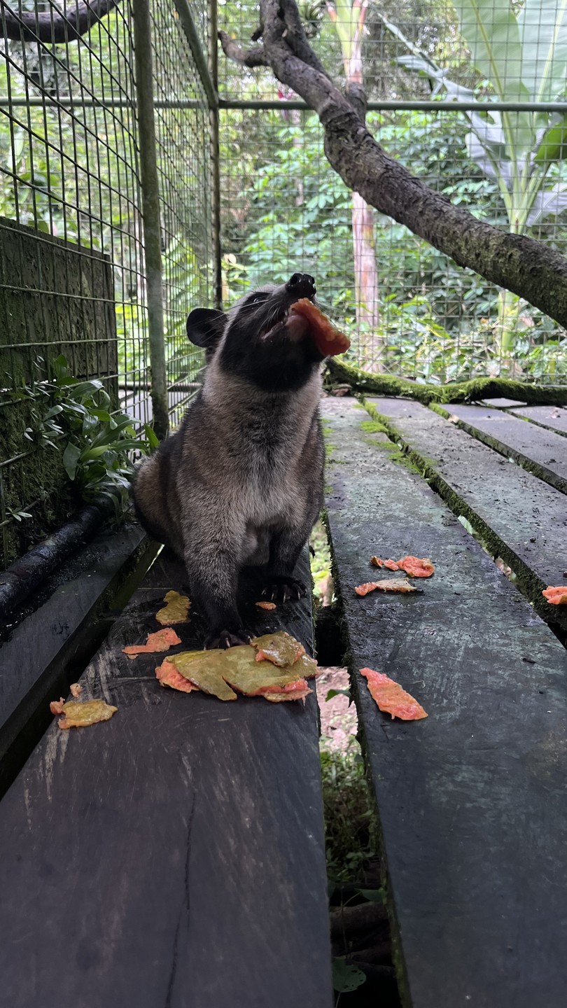Экскурсия была потрясающей! Ваян чудесный рассказчик и веселый человек! Отлично говорит по-русски. Экскурсия не оставила нас