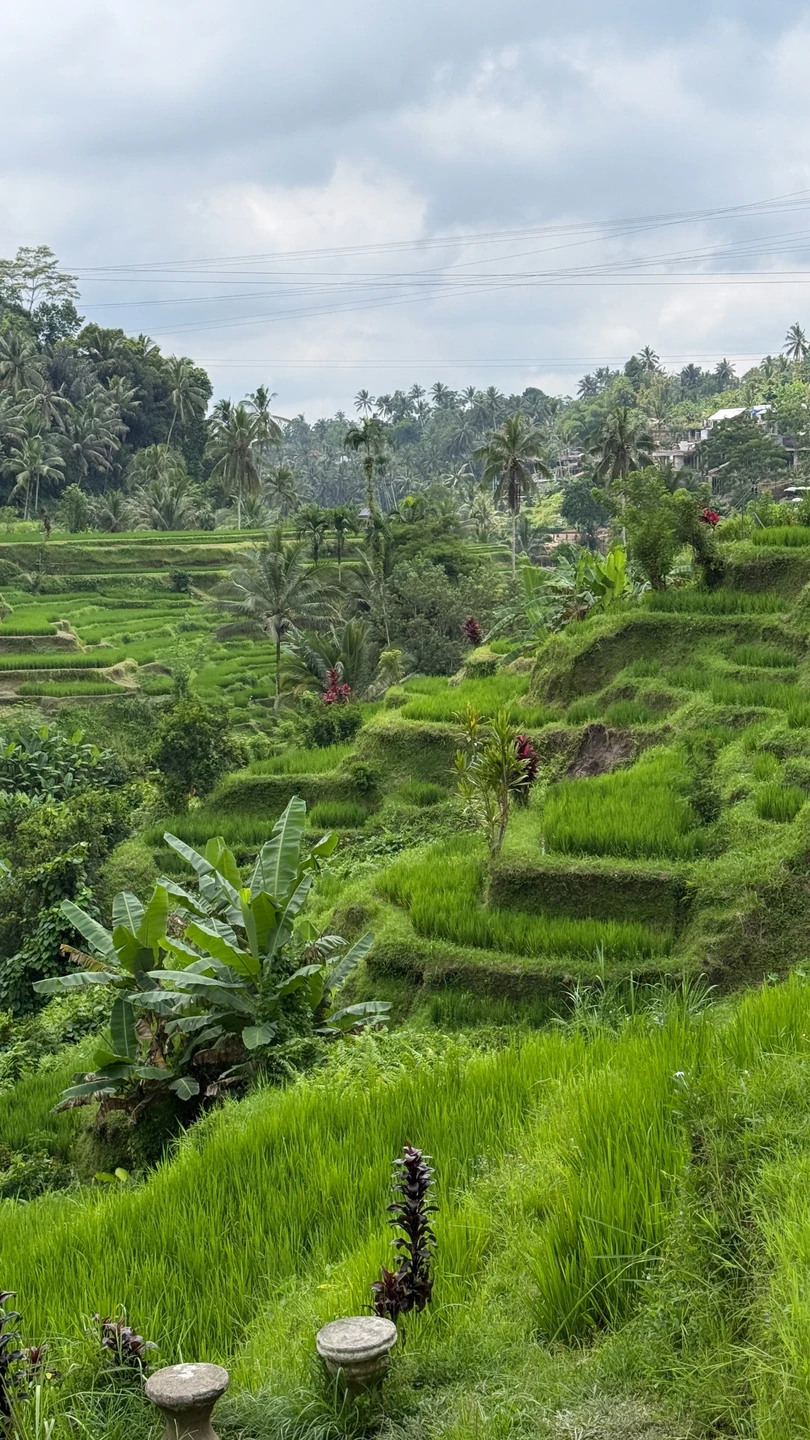 Приятное путешествие к центральной части острова, Вайан прекрасный гид, очень хорошо говорит по-русски, рассказал по пути