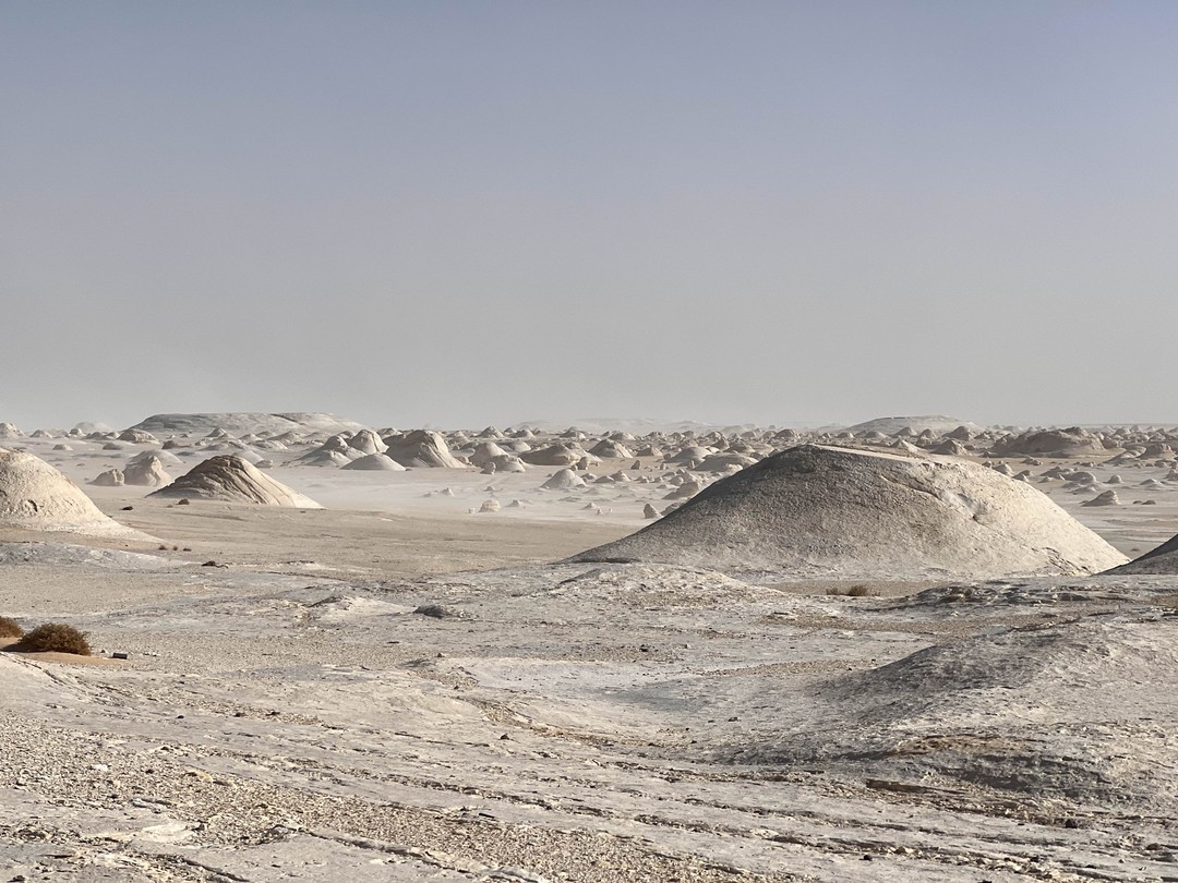 Интересная экскурсия, потрясающие места, стоит того, чтобы потратить в пути 5-6 часов на машине