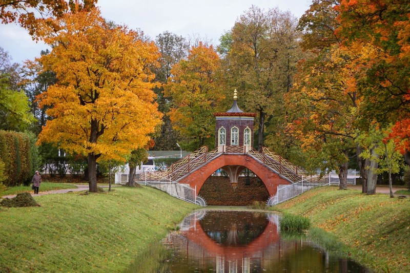 Китайский бум на берегах Невы: Петербург и Царское Село