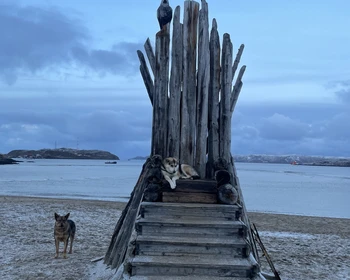 Териберка: каменный пляж, Батарейский водопад, Баренцево моря и кладбище кораблей
