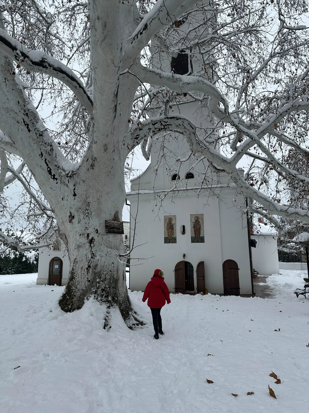 Большое спасибо Микице за экскурсию! Нам с мужем было очень интересно. Это гид с 30 летним