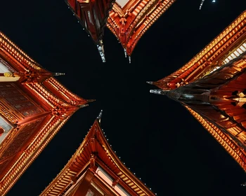 Возвращение в Шанхай