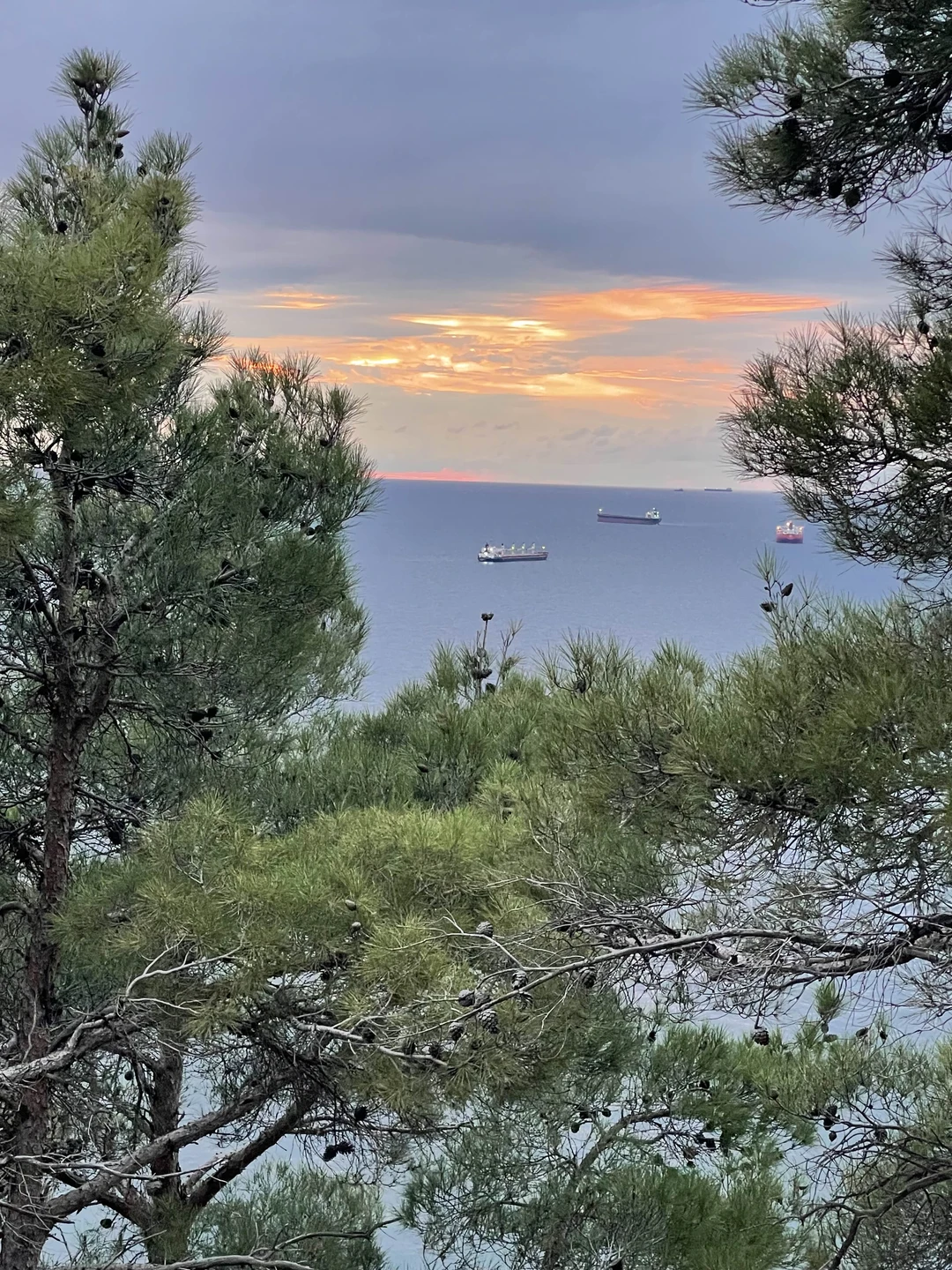 Прекрасная пешеходная экскурсия. Гид (Евгений) помог интересно провести время. Хочется отметить его дружелюбие и пунктуальность. Отличные