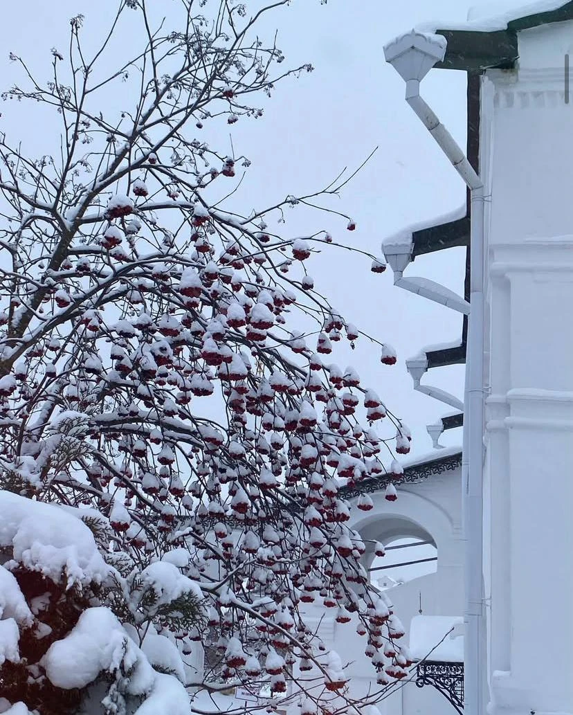 Наша взрослая семейная группа из четырех человек давно мечтала отметить новогодние праздники вместе, поэтому возникла идея
