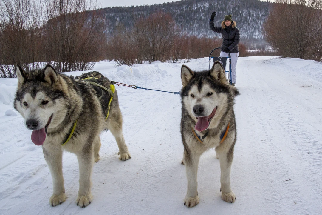 Перед бронированием все подробно узнали, Алина полностью ответила на все вопросы, забронировала для нас экскурсию. С